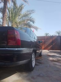 كرتون • بغداد • حله