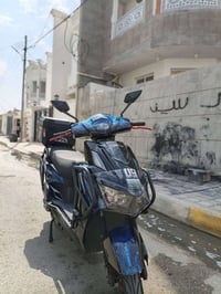 سكنس فحل • ٢٠٢٦ • عل فحص