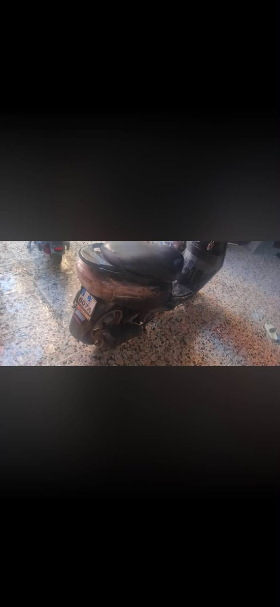 بريز • فحل • مفتوحه