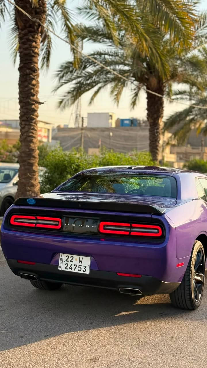 للبيع دوج جالنجر 2023 sxt last call
V6 3.6 / ماشية 46 الف 
لون بنفسجي حادث خلفي بجم كبس 
ايرباك البردة اليمنة فقط 
جاملغ خلفي صبغ و نص الصندوق و الجاملغ الثاني pdr بارد 
تعديل بارد بالشاصي الخلفي الأيمن 
صور الحادث مرفقة 
مواصفات الجالنجر المعروفة 
السيارة جاهزة متصرف عليها ربع 
السعر / 183 ورقة و بيها مجال للشراي 
رقم اربيل تحويل او وكالة 
مكاني بغداد السيدية 
***********
