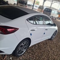 النتر • ٢٠٢٠ • كربلاء بطوريج