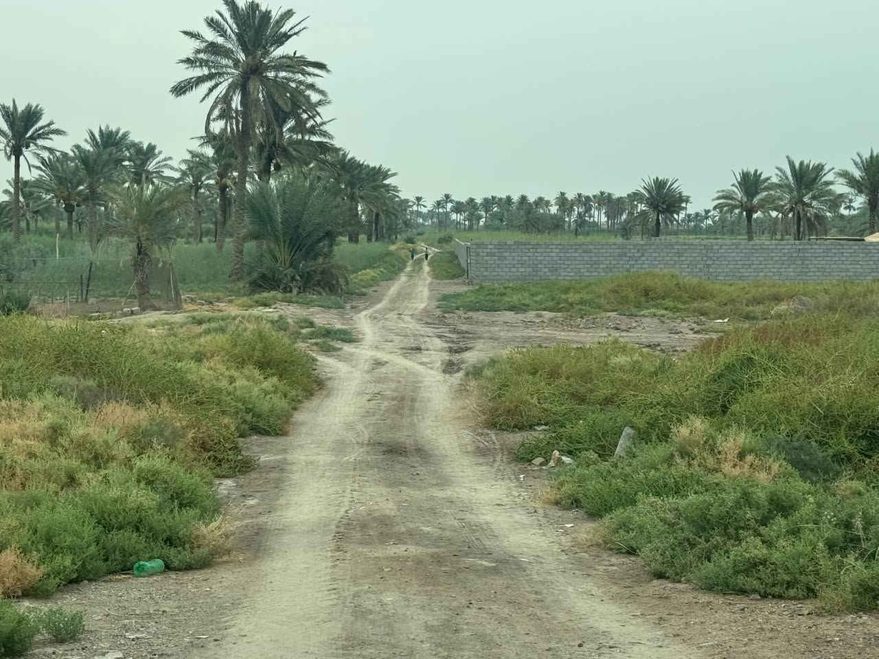الشهابي الاولى • ٨٠٠م • طابو زراعي