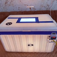 فقاسة فلين • ١٠٠ بيضة • غير مستخدمة