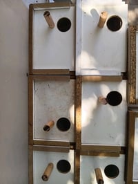 بيت طير حب • بغداد الكماليه
