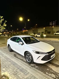 بي واي دي Q بلس • ٢٠٢٥ • ٥٠٠٠ كم