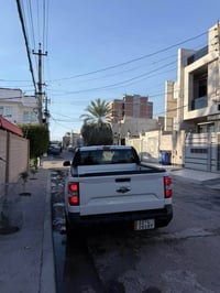 ٢٠٢٤ • بدون صبغ • رقم اربيل