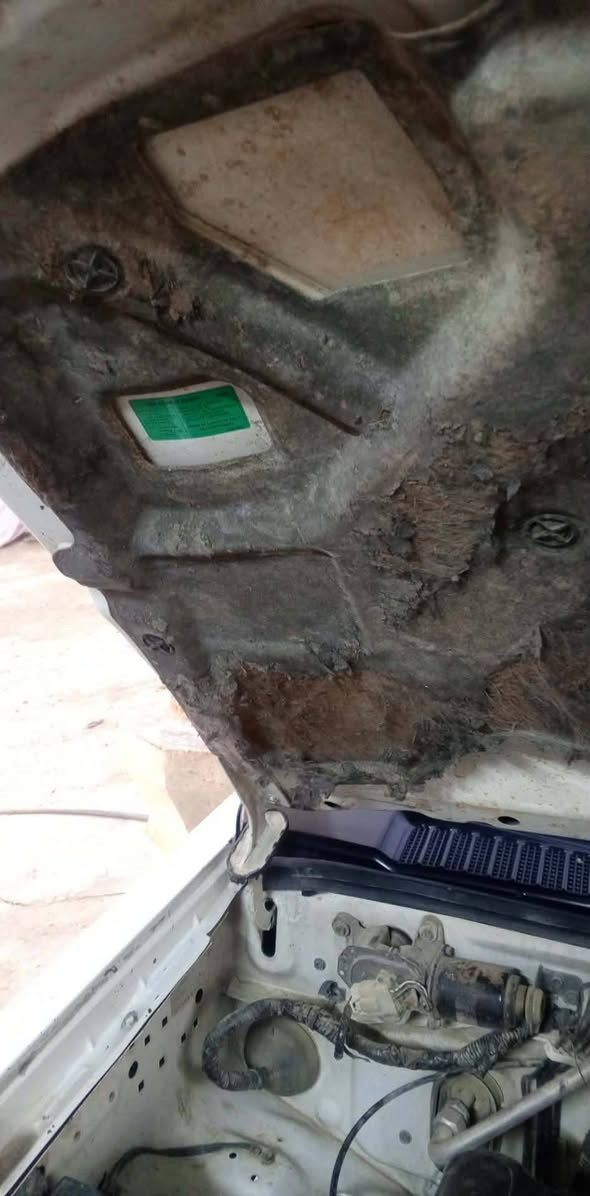 بيكب نيسان • ٢٠٠٧ • رقم انبار