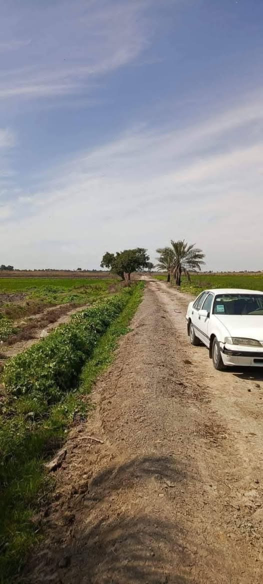 بسم الله 
ارض زراعيه للبيع المساحه 3 دوانم 
طابو زراعي سند 25  ثاني يوم افتحلك بيان 
واجهة الدونم الواحد 45 متر النزال 55 متر 
خدمات كامله  ماء اساله وسقي وكهرباء وتبليط 
مجاور سوق الشيخ عامر تبعد عن دوار 20 دقيقه 
السعر للدونم 30 مليون قابل للتفاوض بغداد التاجي منطقة الشيخ عامر مقابيل سبع البور 
للاتصال والاستفسار يتوفر واتساب
*********** متوفر واتساب

