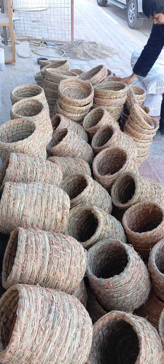 جمله ومفرد طوريج الرجيبه ***********
