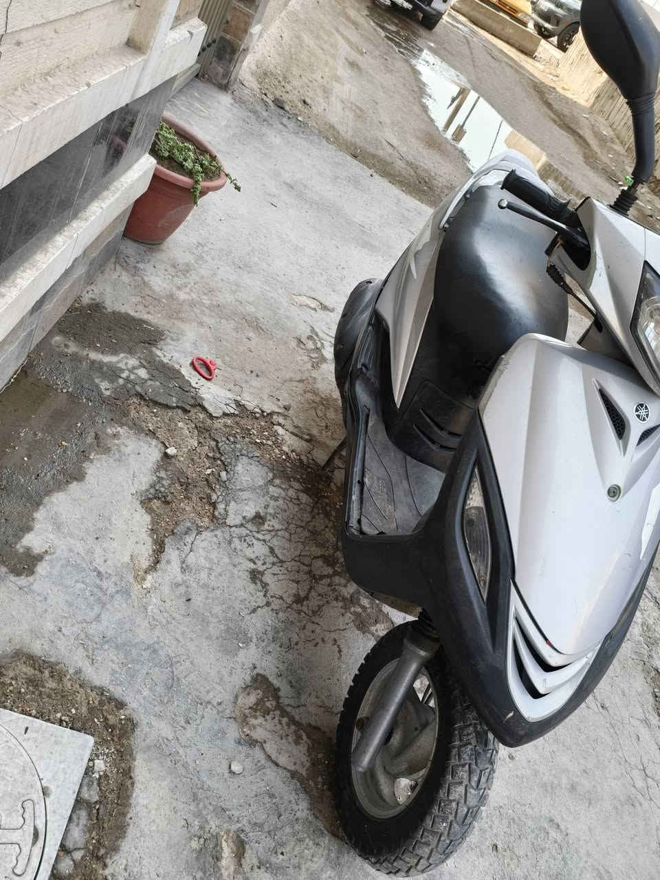 ماكس • ١٤٠ • ثعلب