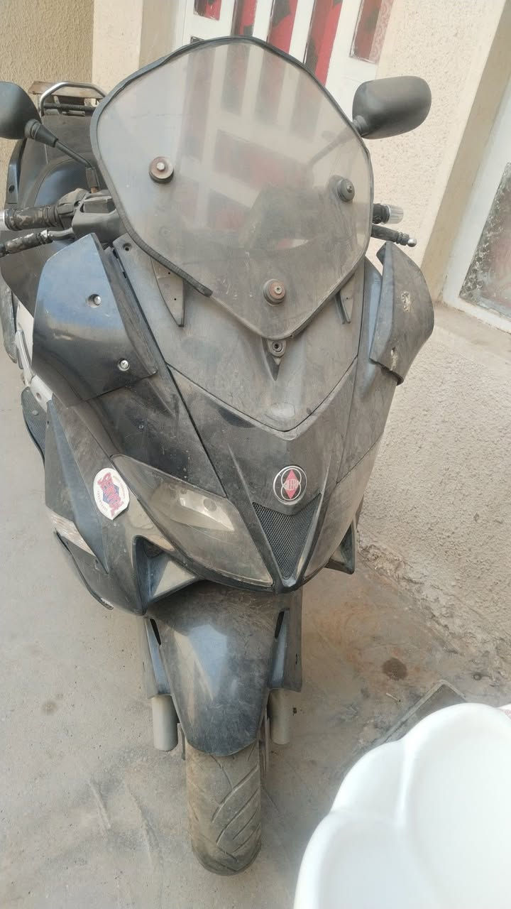 ايطالية • كايمة • للبيع