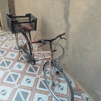 باسكل • عقرب ست • نضيف
