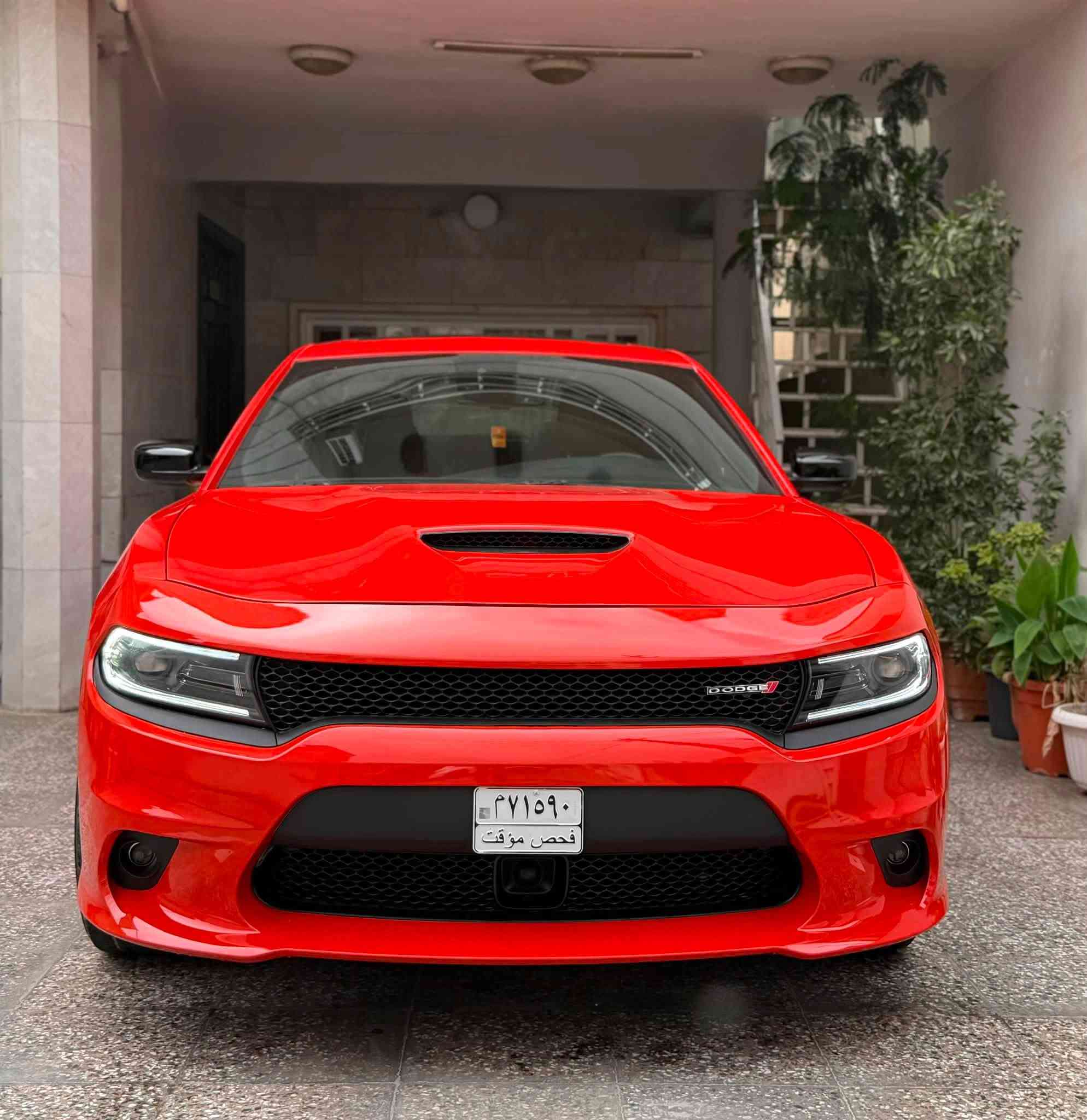جارجر GT Plus 2023 وارد كندا
Dodge Charger GT Plus 2023

السيارة بدون ارقام 

السيارة فول مواصفات اعلى اصدار 6 سلندر

السيارة 4 ويل 

السعر 19800

صبغ السيارة جاملغ امامي و بنيد وبداية اللغد الايمن 

و بيهة صبغ من كندا باب خلف السايق وكلير جاملغ خلفي وباب السايق وتم ازالته 100‎%‎

ابيعلك 3 قطع صبغ و شبر من اللغد 

عداد السيارة 19 الف ميل فقط

السيارة نظيفة جدا 

سلايد ( فتحة سقف)

بصمة تشغيل عن بعد 

* محرك: V6 سعة 3.6 لتر

* عداد السيارة 19000 mi

* القوة:  300 حصان  

* العزم:  358 نيوتن متر  

* ناقل الحركة: أوتوماتيك 8 سرعات

* الدفع: خلفي (RWD) و رباعي (AWD)

* التسارع 0-100 كم/س: تقريباً 6.5 – 7 ثواني  

* عدد المقاعد: 5

* المقاعد جلد وكنتارة (Leather seats)

* تبريد وتدفئة للمقاعد الأمامية

* تدفئة الدركسون

* نظام صوتي Alpine 

* شاشة 8.4 إنش مع:

    * Apple CarPlay

    * Android Auto  

* تشغيل عن بعد + دخول ذكي

* مثبت سرعة متكيف (Adaptive Cruise Control)

* تحذير تصادم أمامي + فرملة طوارئ

* نظام المحافظة على المسار

* حساسات + كاميرا خلفي

* تحذير مغادرة المسار

* توقف طوارئ تلقائية

* مثبت سرعة ذكي

* حساسات اصطفاف

* وسائد هوائية متعددة

مكان السيارة بغداد زيونة 

***********
