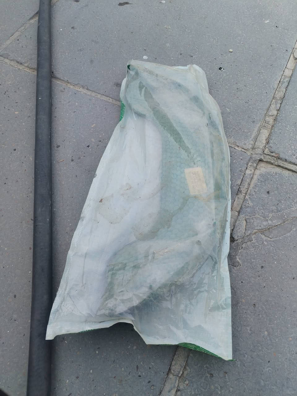 جاملك للبيع مال تيك توك اللون اخضر بعد بكيسه شخط ما بيه السعر 5000 عنواني النهروان يم يم مطعم وجواد ***********
