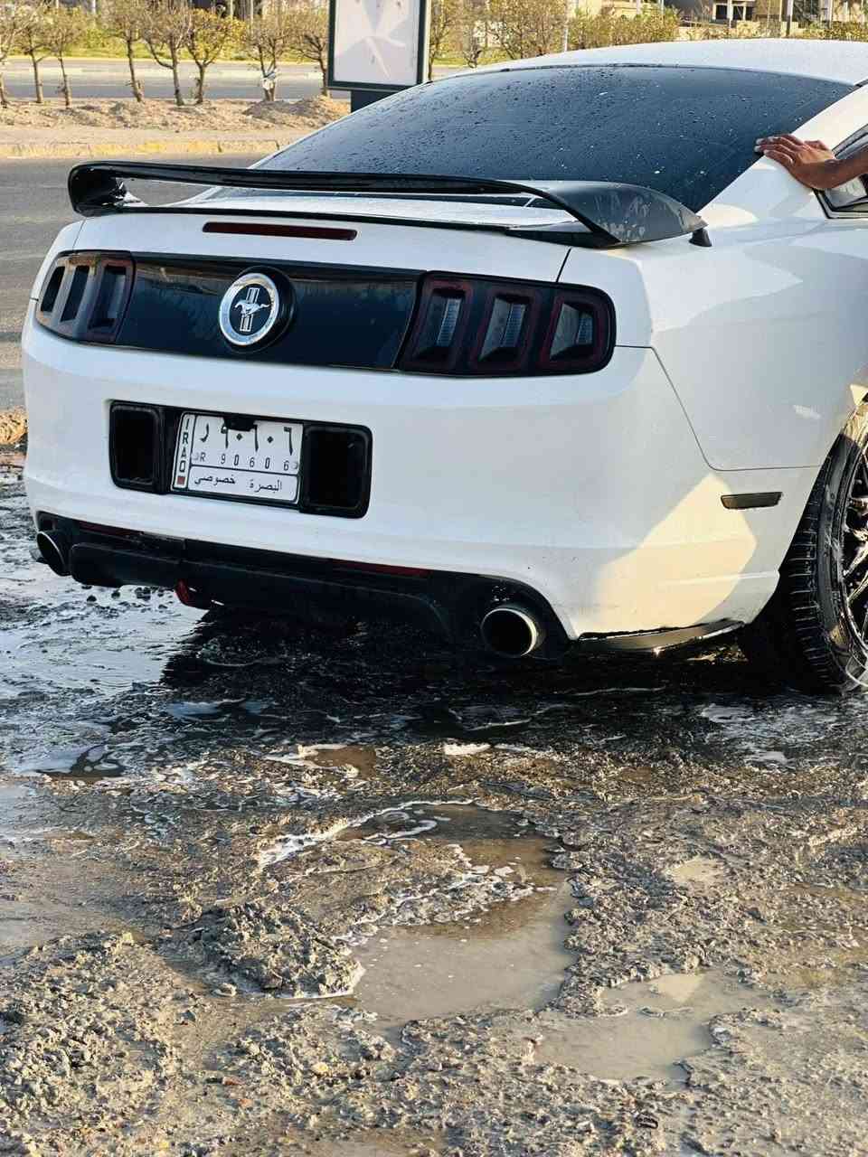 موستنك • ٢٠١٣ • عنون البصرة