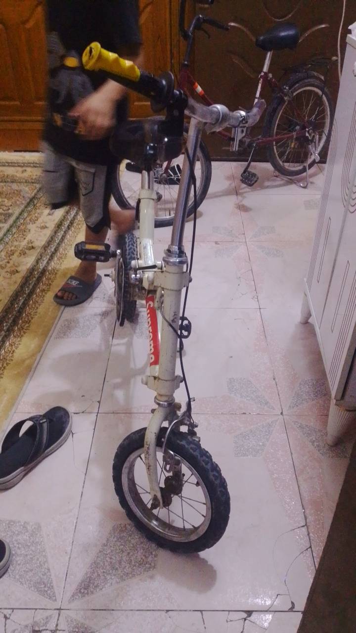 بسكليت • بنجر قدام