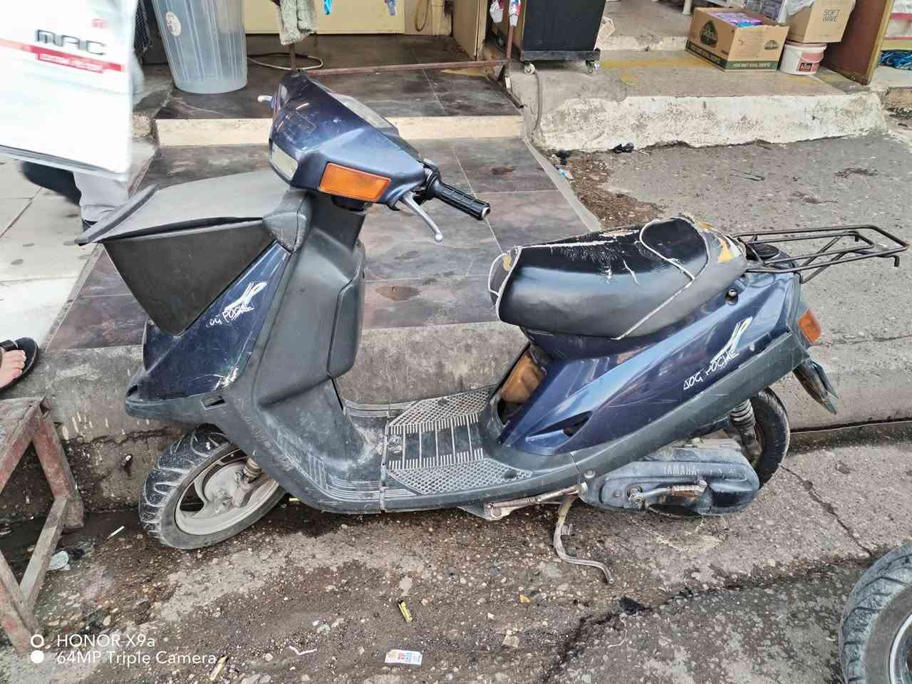 مستعجل • مفتوح • معمر