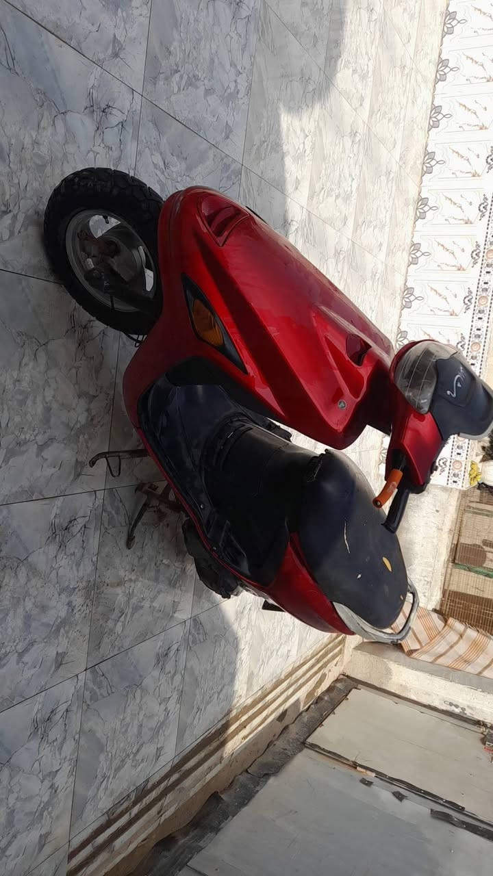 فراشة • فحل • كهربايات