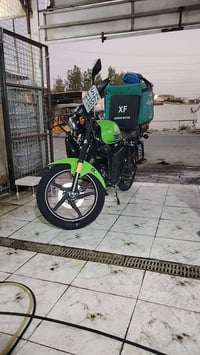 جبلي • ٢٣ • كلاسك