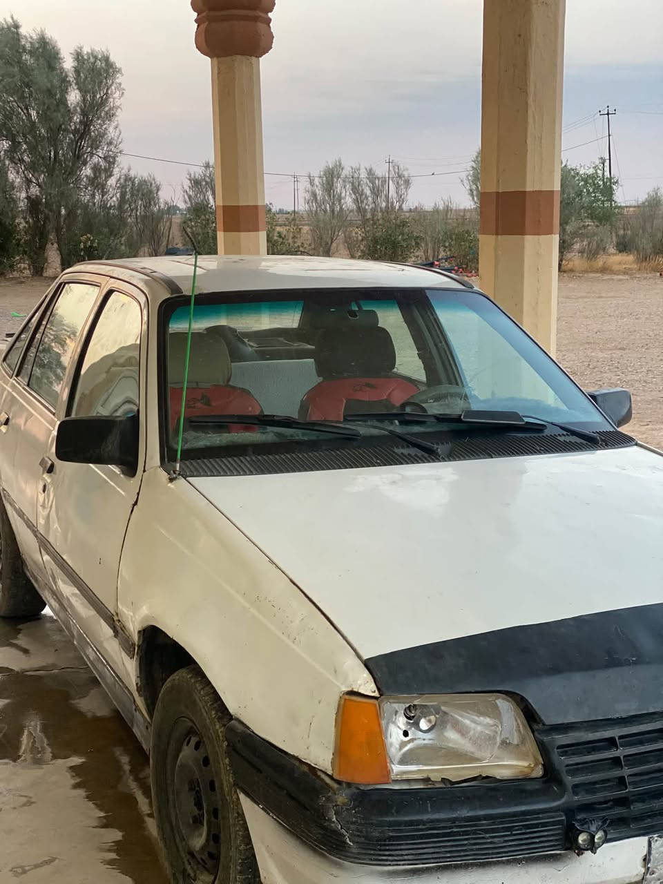 كاديت • نضيفه • بيها مجال