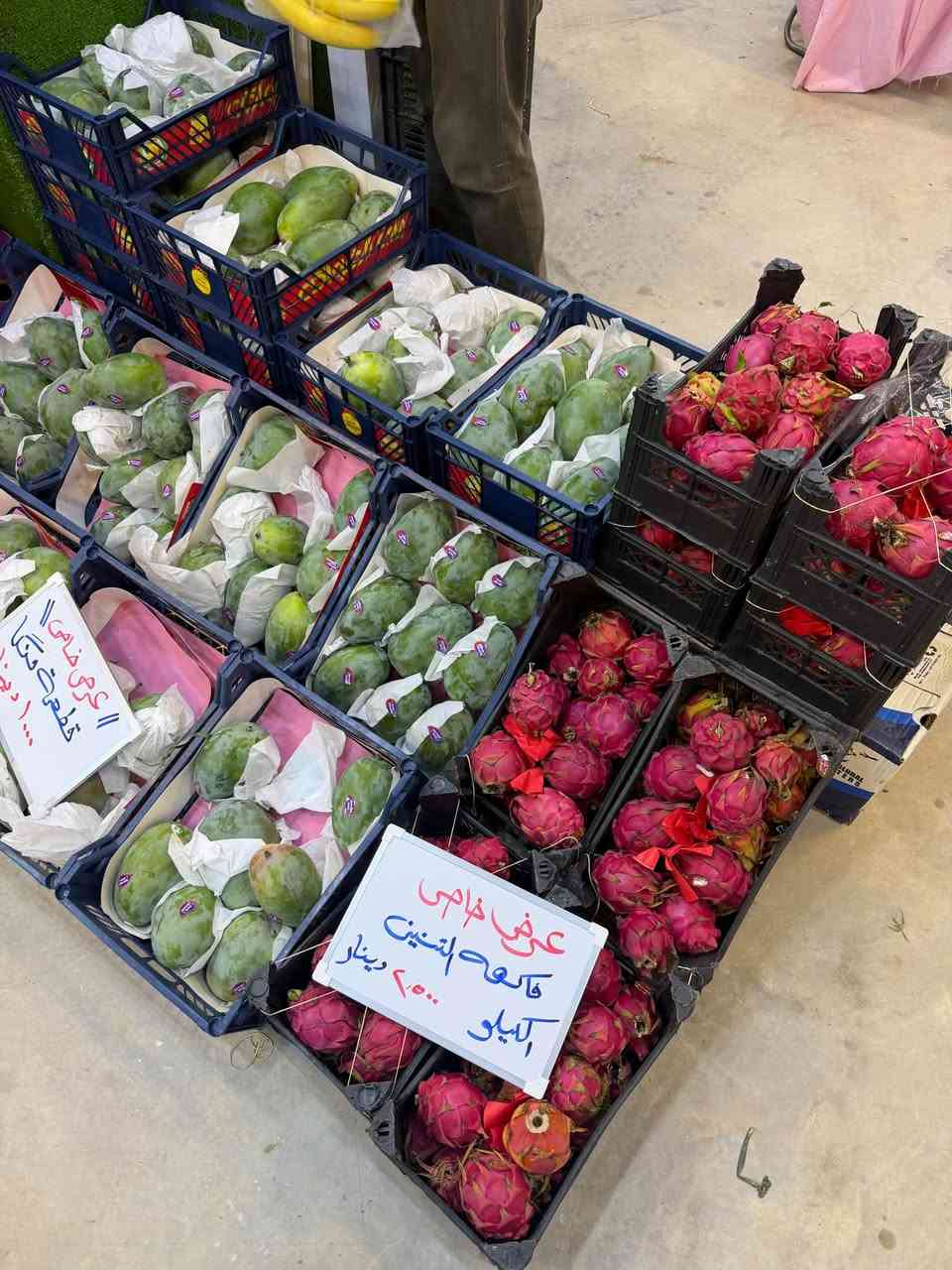 عروض اليوم • منجا قطعتين • نزلة الجسر