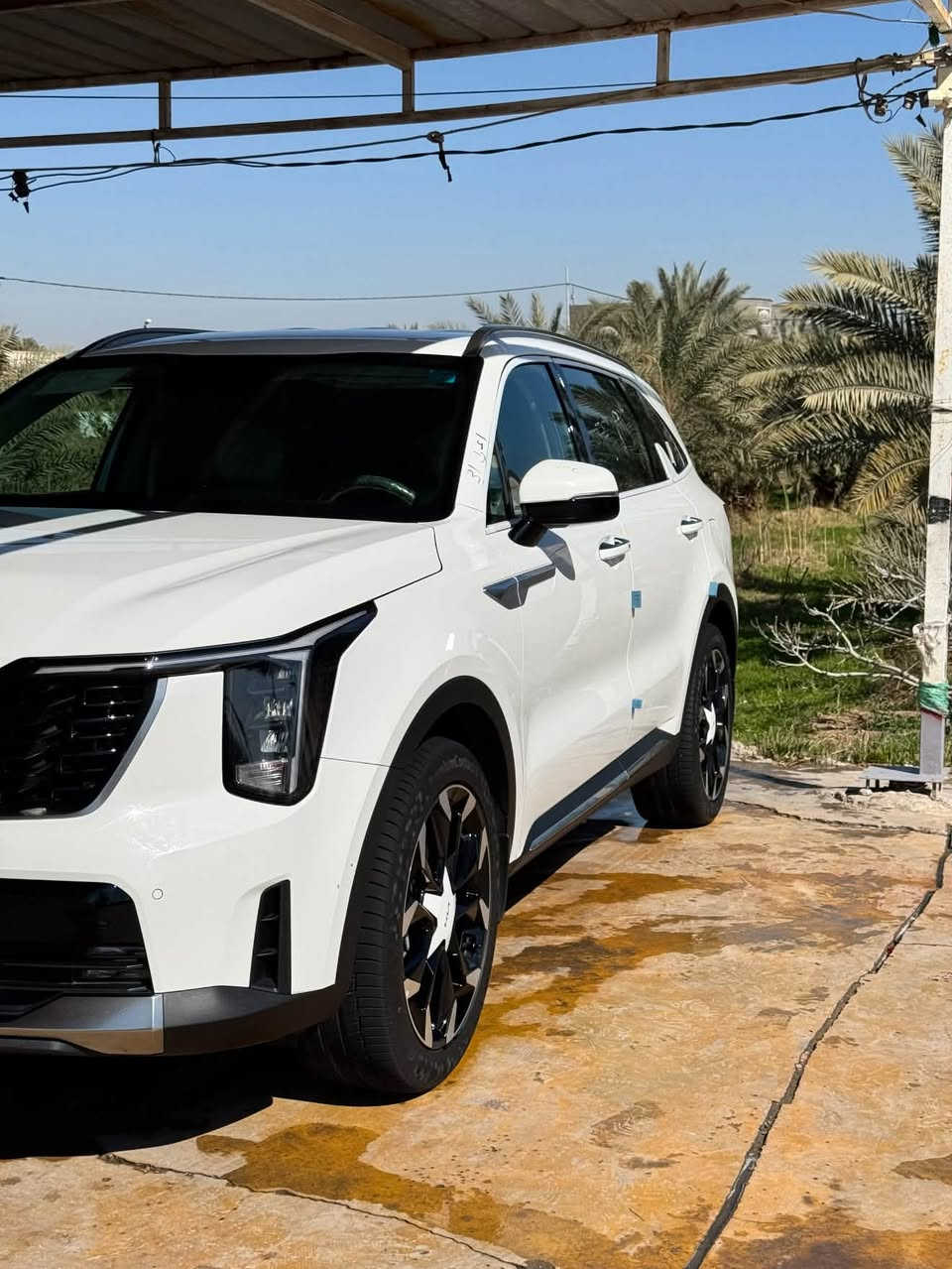 السلام عليكم
سورنتو موديل2025 رقم بغداد
مكفوله كفاله عامة
بسمي تحويل مباشر
مكان الديوانية 
المواصفات
بصمه ابواب وتشغيل
تشغيل عن بعد
السياره ماشيه 37 الف كم
محرك 6 سلندر
دبل كامره
داتا شو
ويل حجم 20

شاشه متصله

اناره محيطيه

بردات ابواب خلفيه

فول تحكم ستيرن

شفتات ستيرن

گير ماوس

سايد بريك بصمه

بصمه تشغيل

اوتو هولد

ونزول منحدرات

اربعه انظمه قياده

كشنات كهرباء

جنطه كهرباء

لد امامي وخلفي

يدات نيكل

ودخول ذكي بدون مفتاح

السعر307 وبيها مجال

الاستفسار ***********
