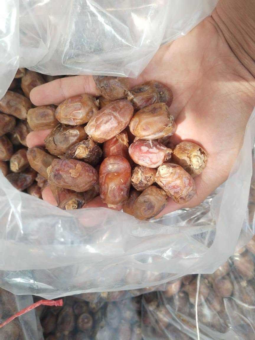 خضراوي • خشن • توصيل ناصريه
