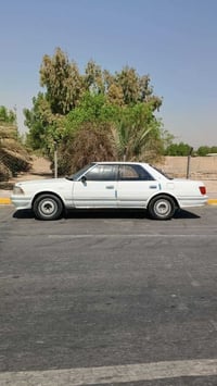 هارتوب • ١٩٩١ • مكفوله من الضربه