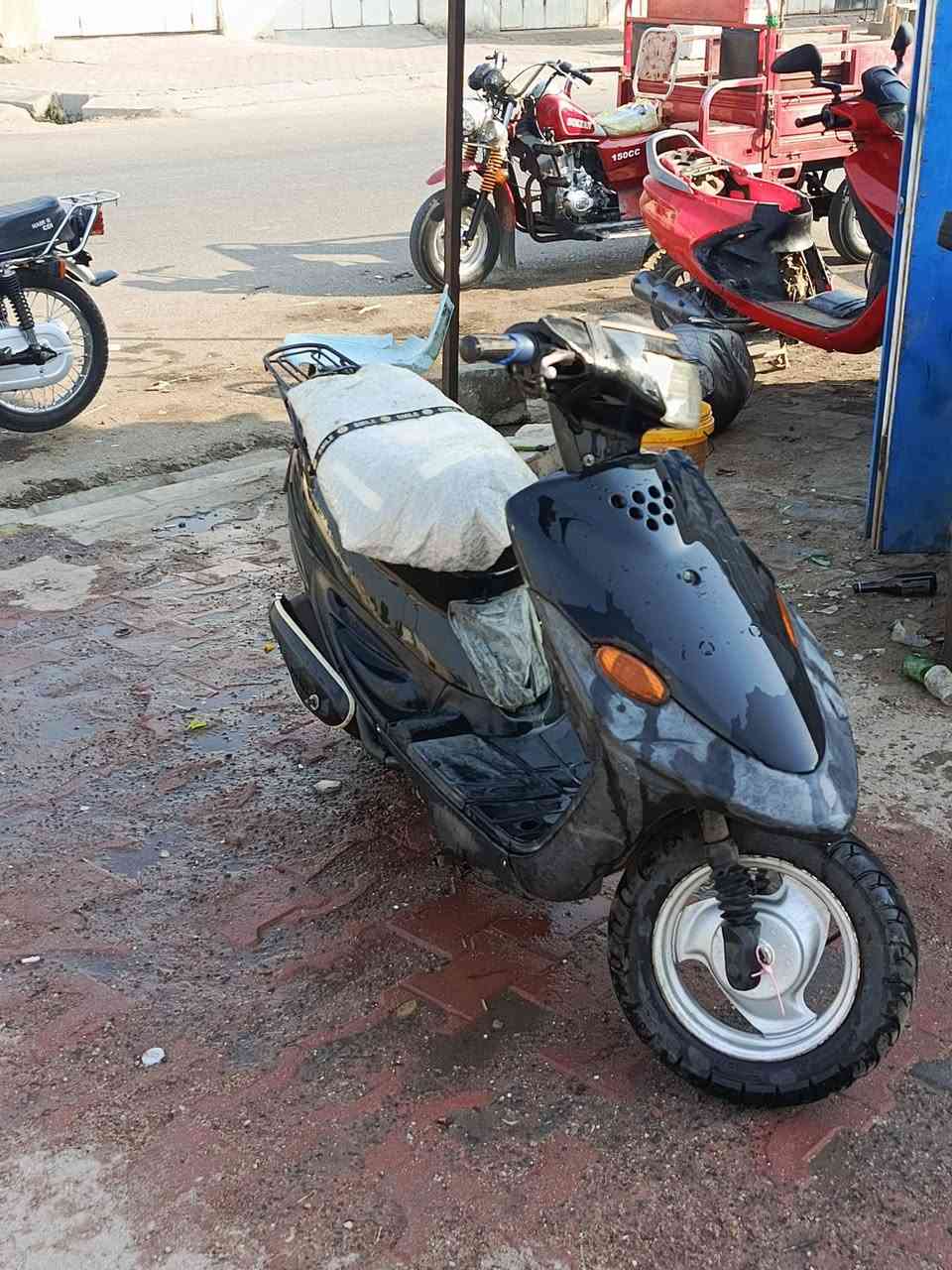 ذبان • اوراق • بها مجال