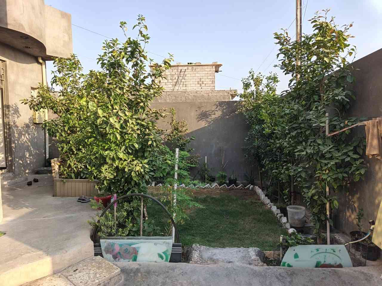 يالله سلام
بيت مساحة ٢٠٠متر
بناء حديث يحتوي على
٣غؤف نوم 
مطبخ حار وبارد
استقبال وحديقة وحمام 
السعر ٧٥ 
العنوان المداىن منطقة الجعاره للاستفسار الاتصال على ***********
