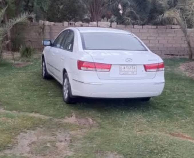 سوناته • ٢٠١٠ • كفاله عامه