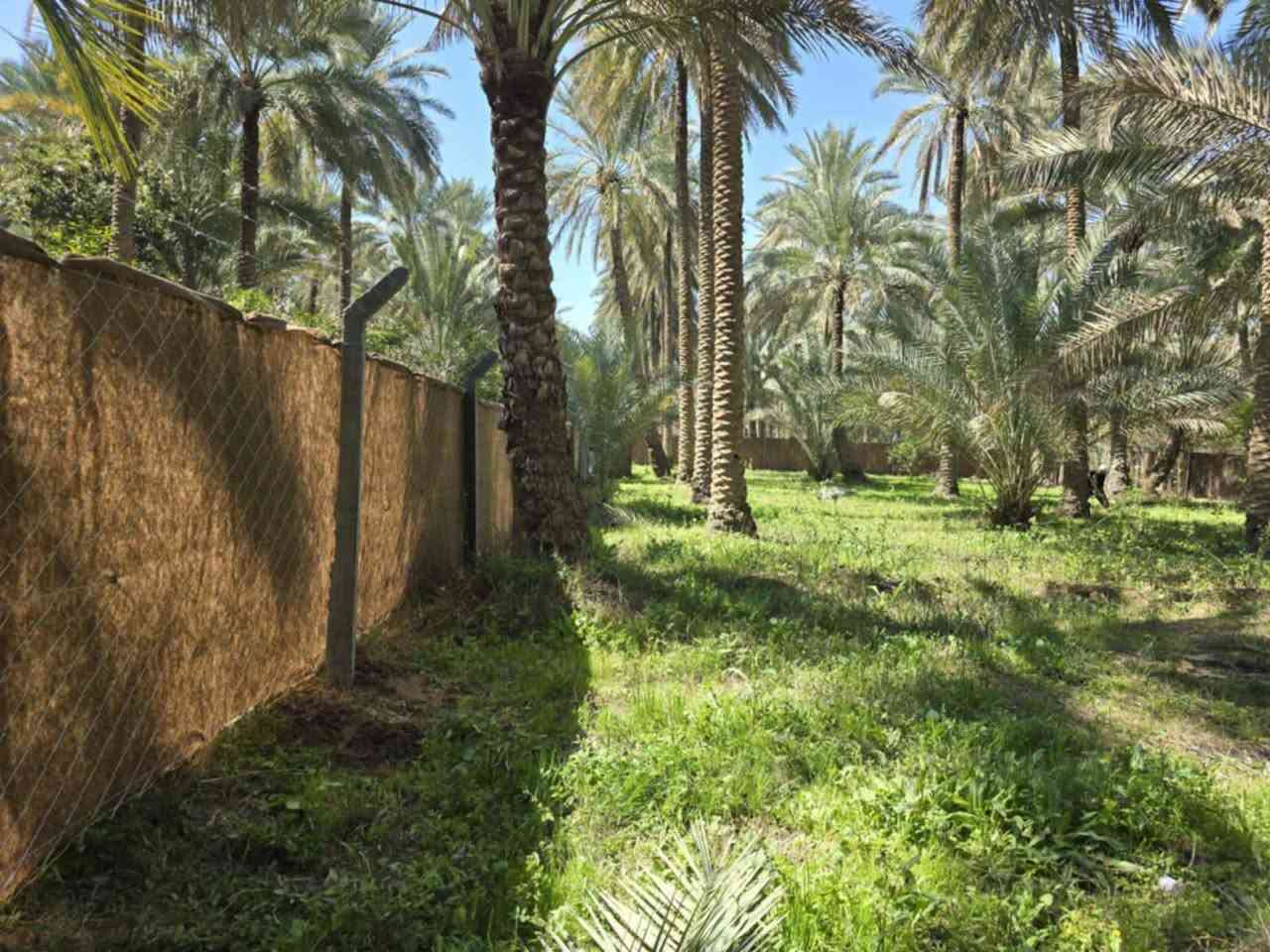 أللهم صل على محمد وأل محمد ليوم
جبنالكم عرض مميز  وبسعر مناسب جدا يبعد الف متر عن شارع الحسينية فقط

 أخوان صاحب العقار عنده مريض ويحتاج عملية بالهند

 ونزل السعر بسبب وضعة لايتحمل سعره مناسب جدا الي

 يريد يشتري عل باب الله الي يريد ياخذه ترفيهي مكانه كلش مرتب منطقة هادئة جدا

 للبيع    دونم  المساحة بالأمتار 2500 متر محدد ومسيجة

 بالكامل تتوفر كافة الخدمات كهرباء مولد مي اساله 
  
   مي سقي سيح النهر صاير مباشر بصف الدونم البستان مخدومة

 بالكامل العنوان كربلاء شارع الحسينية 

 قرب جسر 🌉 الإبراهيمية من سايد الخدمي وتدخل 1000 متر 

 عن شارع الحسينية 1000  متر وعن جسر الإبراهيمية كيلو  ونص 

 وعن مركز المدينة 15 كيلو منطقة سكنية عرض الشارع

 النازل عل بستان 6 متر واكو مكانات 7 و 8 م علمأ نوع السند

 طابو زراعي سند 25 تحويل سهم مباشر بأسم المشتري

 أصل السند  6   دونم فقط انزل اسمك سهم بالسند بمساحة

دونم  

#السعر_النهائي  160 مليون قفلة 

للإستفسار أكثر #اتصلوا بالأرقام التالية 

(  ‏‪***********‬‏  )(  ***********  ) 

ابو فاطمة عنوان المكتب شارع الحسينية قرب جسر 🌉 الإبراهيمية مقابل شارع عون مكتب النافعي للعقارات كربلاء     النافعي للعقار        #اشاره #الاصدقاء #متابعين #اكسبلور #الجميع #متابعين #اكسبلور #الجميع #متابعين #اكسبلور @إشارة @إشارة 

السعر النهائي   160 مليون
