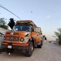 ٨١ • بدون صبغ • بالاديه