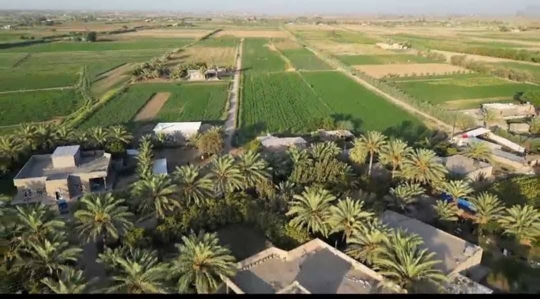 🌿 للبيع أرض زراعية طابو – فرصة استثمارية مميزة 🌿
📍 الموقع: محافظة بغداد – قضاء المحمودية – ناحية اليوسفية – مقاطعة (15).

✅ المساحة: 60 دونمًا طابو.
✅ مناسبة للزراعة ولمشاريع تربية الأغنام والأبقار والدواجن وغيرها.
✅ مياه متوفرة على مدار 24 ساعة مع إسالة ماء صالحة للشرب.
✅ طريق معبد يصل إلى داخل الأرض.
✅ تبعد 300 متر عن مدرسة ابتدائية، وحوالي 3 كيلومترات عن مدرسة متوسطة وإعدادية.
✅ مسجد قريب، ومنطقة هادئة تتوفر فيها الخدمات وجيران طيبون.

📞 للاستفسار والمعاينة:
***********📞
*********** واتساب 

الرجاء مشاركة الإعلان، فربما يصل إلى من يبحث عن هذه الفرصة الاستثمارية.
