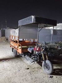 ستوته • ٦٥٠ • بدون أوراق