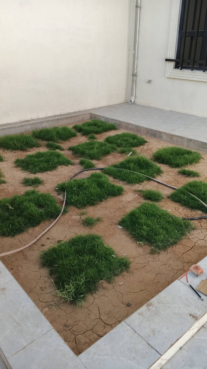 سلام عليكم 
بيت للبيع حي الأطباء طابو زراعي 
كاع دحام 
شارع الثاني الرئيسي
بيت صفر / بي نقص بوب داخليه وسقف ثانوي 
السعر المطلوب 57 مليون بي مجال 
***********

