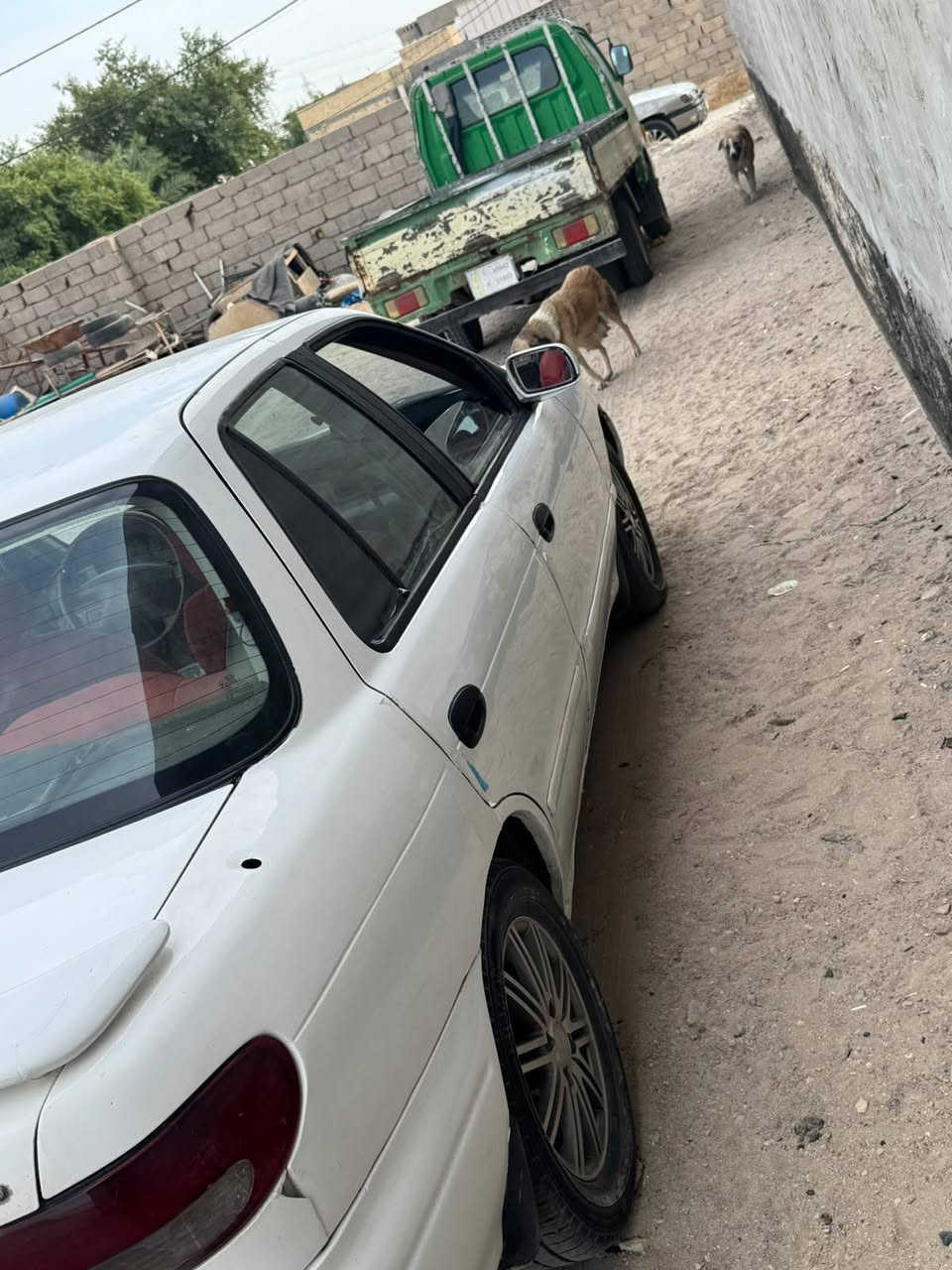 سيفيا 95 • رقم بغداد • تحويل ثاني يوم