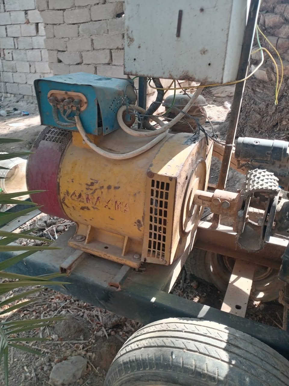 سلام عليكم    مواليده كيه  البيع بلمشخاب تواصل مع هذا الرقم *********** بس تصال فقط
