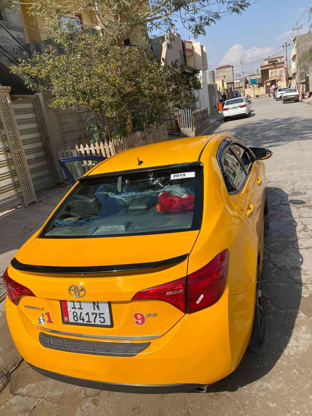 كورلا • ٢٠١٩ • قطعتين صبغ