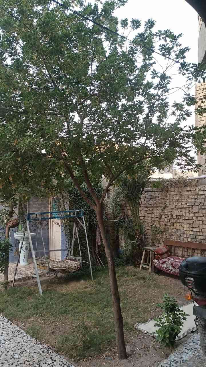 بيت للبيع مساحه 200متر طابو زراعي سند25 يحتوي على استقبال وصاله وغرفتين نوم ومطبخ ومناور ثنين وحديقه وكراج العنوان سبع قصور شارع المشروع شارع 20اول فرع بصف الركن الفرع بي مجاري ومي وخدمات طابه السعر110وبي مجال التواصل على الواتساب***********
