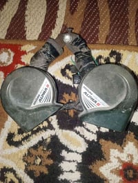 هورنات • شغال • ميمونه