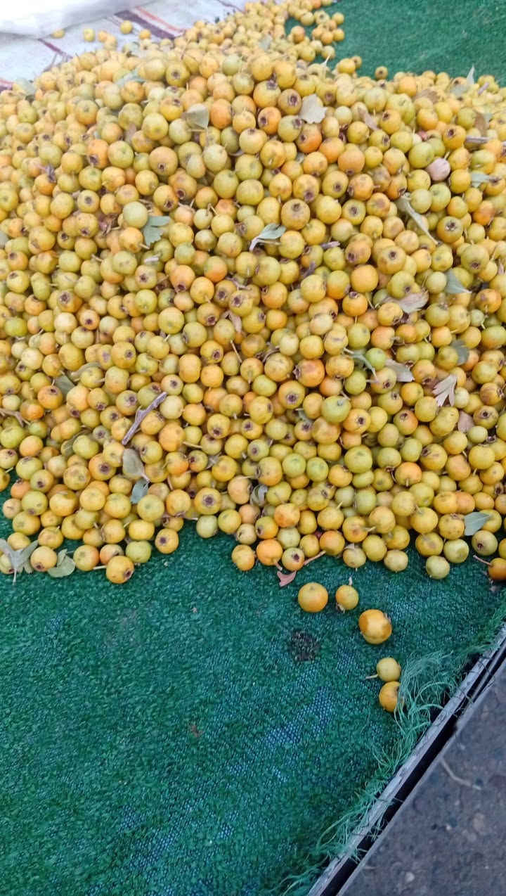 جديد • كامل • رخيص