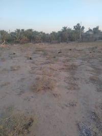 بجهت لحسينيا • قريب محطة ماي • ١٠٠٠م