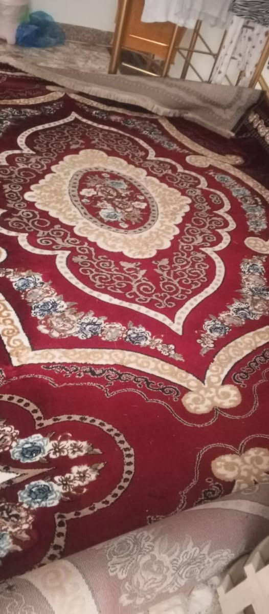 زوليه • جديده • النجف