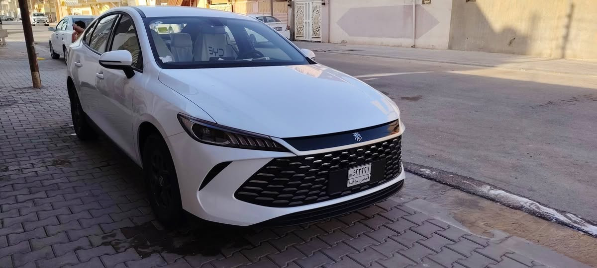 داخل أبيض • حاله شركه • نجف الإشراف