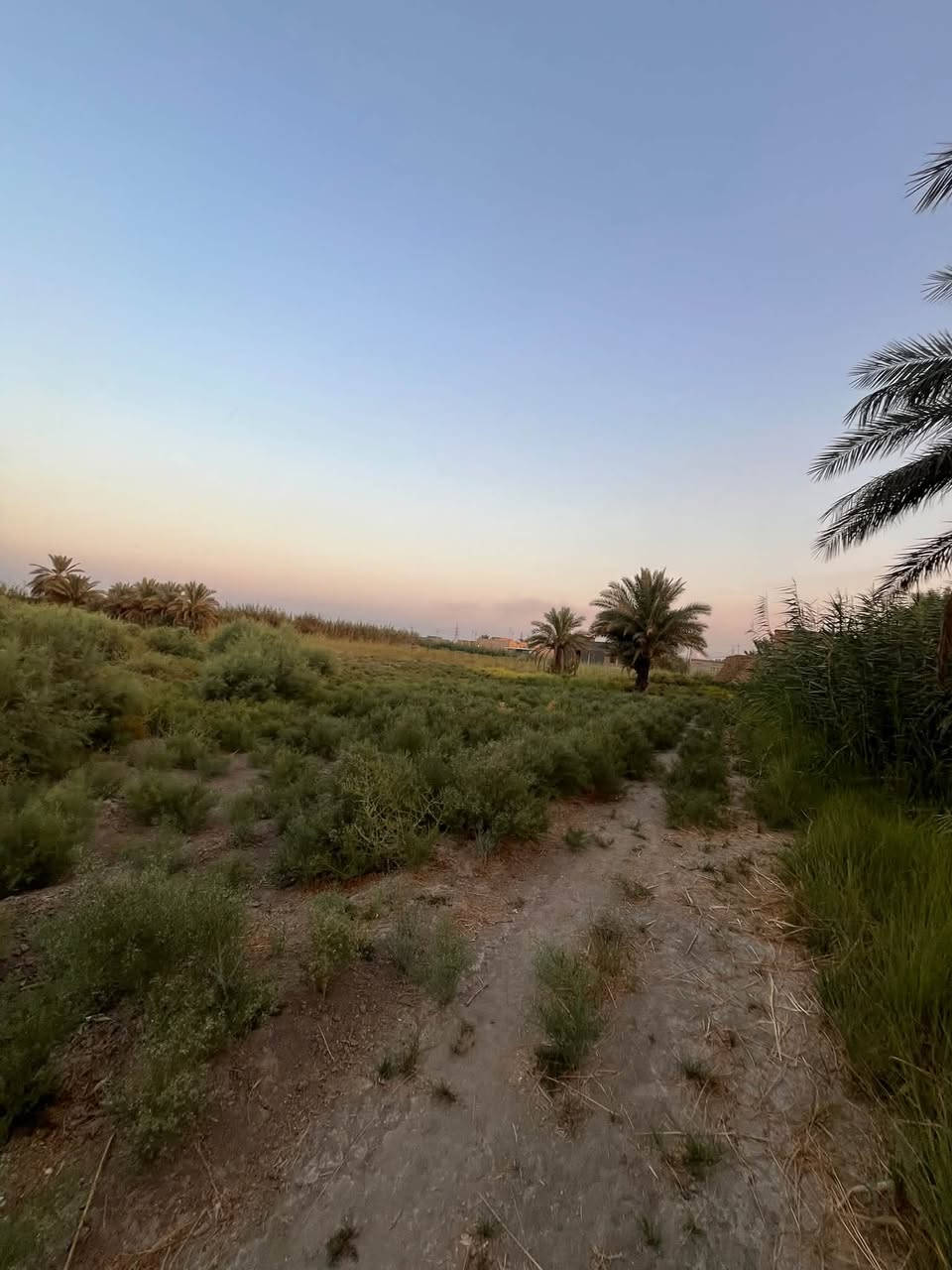 🔥 فرصة استثمارية مميزة | 6 دونم للبيع

📍 الموقع: طريق أبو الجاسم
🚗 تبعد فقط 100 متر عن الشارع العام

🌱 مساحة 6 دونم، مناسبة لـ:
🏭 معمل أو مشروع صناعي
🌴 مزرعة واستراحة
🌾 مشروع زراعي
🏗️ مشروع استثماري

💰 سعر الدونم: 37 مليون دينار

قابل للتفاوض

📞 للاستفسار والتفاصيل:
** | السيد للعقار**
📱 ***********
