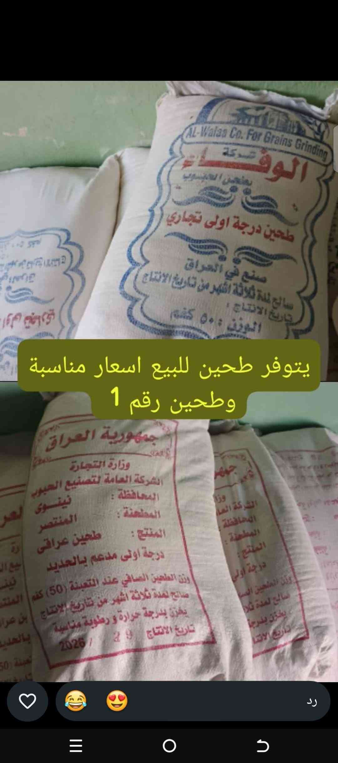 طحين • درجة أولى • اسعار مناسبة