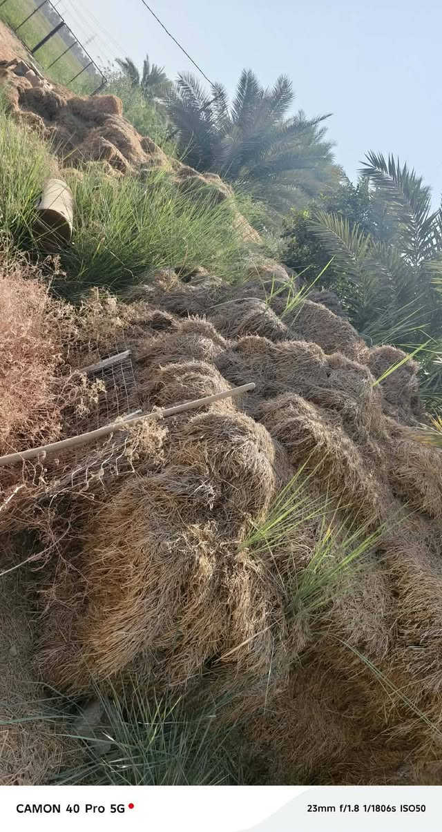 قضاء الشاميه • كبسه • للبيع