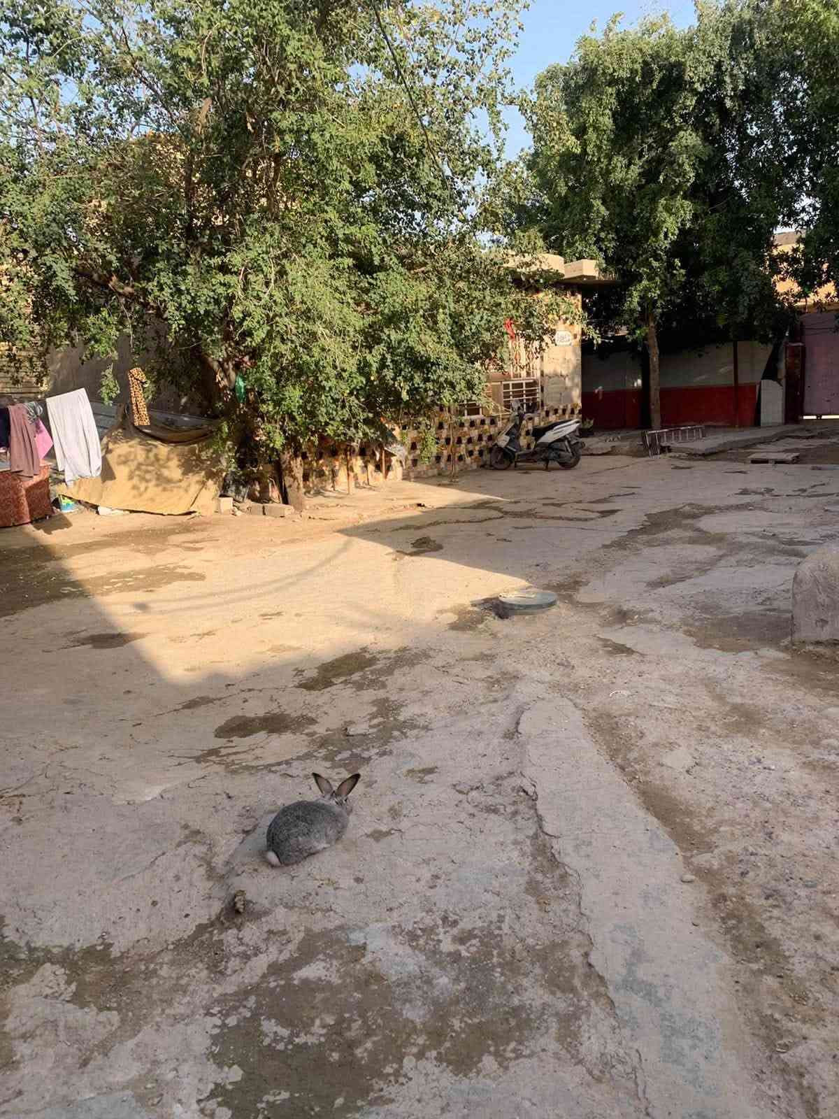 بيت اللبيع طابقين مساحته 625متر بالدوانم بشارع ابو دراج البيت  ع فرعين بي 8غرف من عدا  الديوانيه 60متر البيت سعره مناسب الشىري ينتصل ع هذا  الرقم ***********

