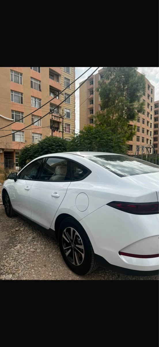 Byd quin plus 2025
ناو زه رد و ويل كروم
٣١.٠٠٠ كم روييه 
رسمي قوپه كم دانايه
بي سبوغ بي تعديل گير و مكينه و كاره با به شه رته 
سعري ١٤٠$ مجاليكي برايانه *********** 
مجاليكي زور كمي تيدايه موشتري بيزارمان مه كه أربيل, العراق
